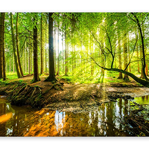 murando Fotomurales 300x210 cm XXL Papel pintado tejido no tejido Decoración de Pared decorativos Murales moderna de Diseno Fotográfico Bosque Naturaleza c-B-0241-a-a