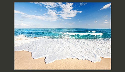 murando Fotomurales 350x256 cm XXL Papel pintado tejido no tejido Decoración de Pared decorativos Murales moderna de Diseno Fotográfico - playa mar naturaleza c-B-0035-a-a