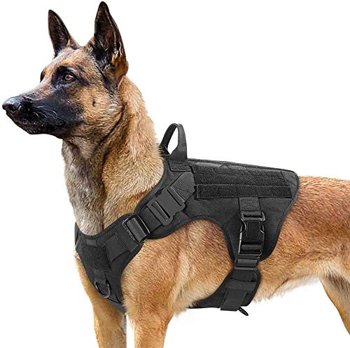 rabbitgoo Arnes Perro Grande No-Pull Arnes Perro Antitirones Táctico de Malla Transpirable Chaleco para Entrenamiento con 2 Anillos Ajustable con Sistema Molle para Entrenar Caminar Cazar Negro M