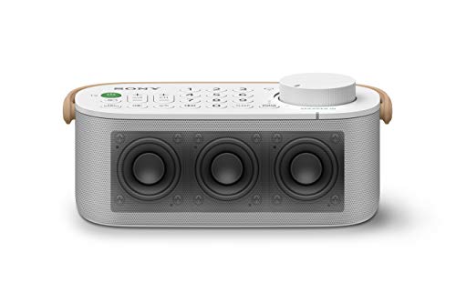 Sony SRSLSR200.CE7 - Altavoz de Mano para TV, Color Blanco