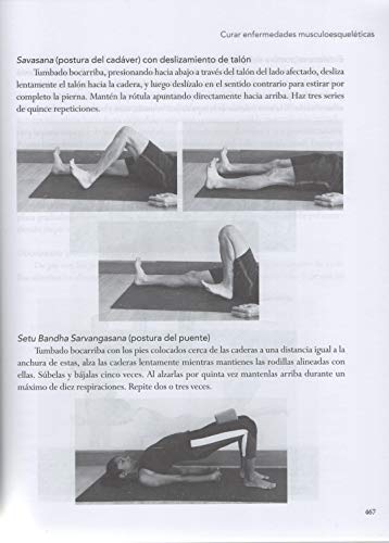 Yoga Terapia: Fundamentos, métodos y prácticas para las enfermedades comunes