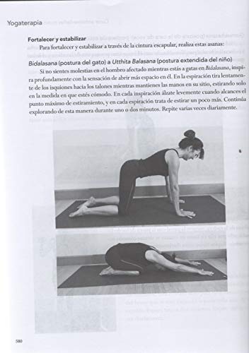 Yoga Terapia: Fundamentos, métodos y prácticas para las enfermedades comunes