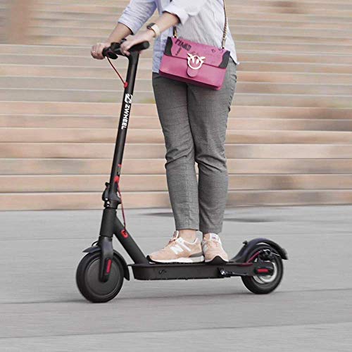 ZWHEEL Patinete eléctrico para Adulto Serie E9 E9 Basic hasta 20km de autonomía, 25km/h, Dos Modos de Velocidad, 300W Motor, Plegable, Control de Crucero, conexión App móvil