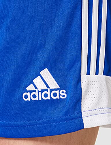 adidas Tastigo19 SHO Pantalones Cortos de Deporte, Hombre, Bold Blue/White, M