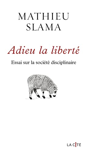 Adieu la liberté: Essai sur la société disciplinaire