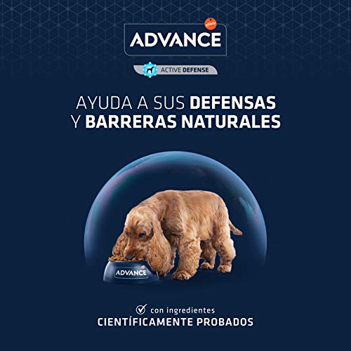 Advance All Breeds Adult Cordero y Arroz 12Kg