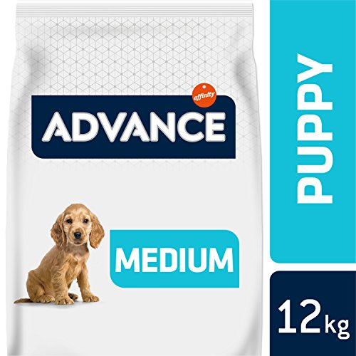 Advance Medium Puppy Pollo y Arroz 12 kg