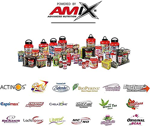 AMIX - Bcaa Glutamina - 300 Gramos - Complemento Alimenticio de Glutamina en Polvo - Reduce el Catabolismo Muscular - Óptimo para Deportistas - Sabor Natural - Aminoácidos Ramificados