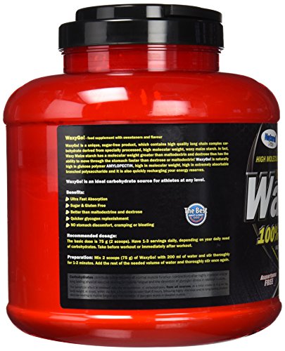 AMIX - Complemento Alimenticio WAXYGO! - Proteína en Polvo para Ganar Masa Muscular - Fórmula con Hidratos de Carbono - Recuperador Muscular - Sabor Neutro - Bote de 2kg