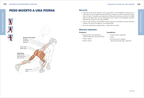 Anatomía del entrenamiento funcional