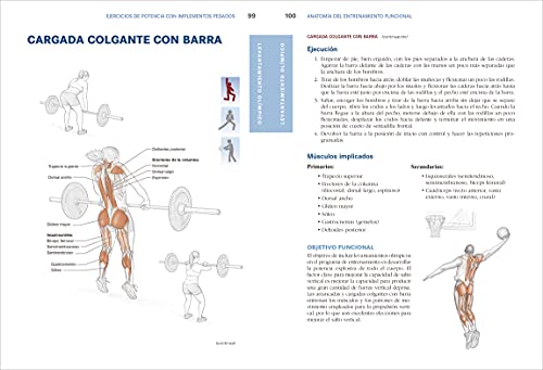 Anatomía del entrenamiento funcional