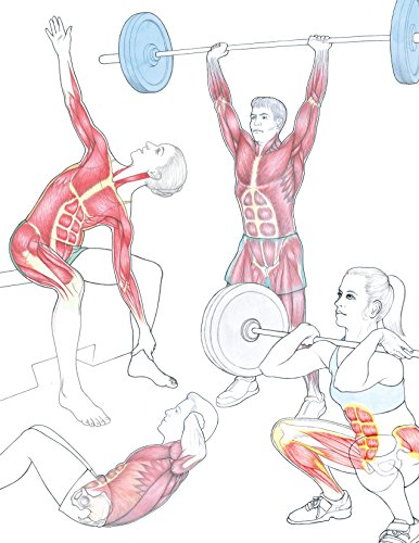 Anatomy for Strength and Fitness Training: An Illustrated Guide to Your Muscles in Action Including Exercises Used in Crossfit(r), P90x(r), and Other Popular Fitness Programs