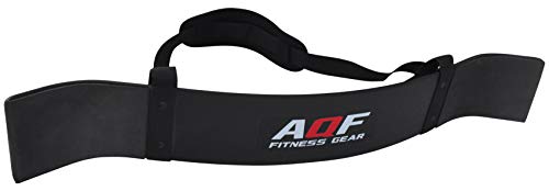 AQF Aislador De Biceps, Pesas Y Mancuernas Barra Curl Biceps, Gym Arm Blaster Biceps, Fitness Triceps Aislador De Brazo Y Bíceps Para Musculación & Musculador Entrenamiento De La Fuerza