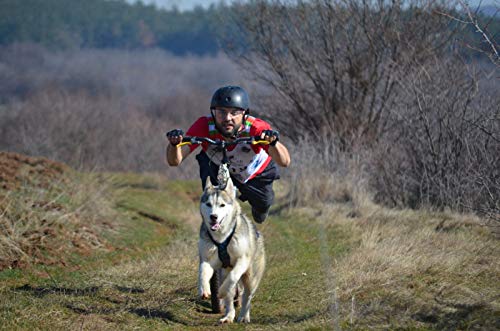 Arnés para perros X-Back de Northern Howl, para trineo y esquí de perros, en azul-amarillo neón