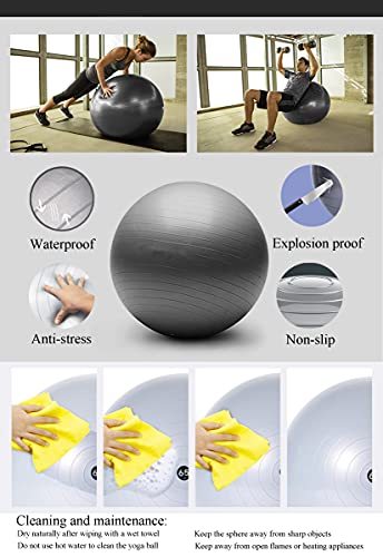 Balones de Ejercicio 55cm Antideslizante Pelota de Yoga para Dar a luz Pilates Yoga Equilibrio de Estabilidad