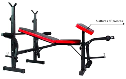 Bancos ajustables Taburete con Soporte Mancuernas Abdominales Plegable Press de banca Silla de Ejercicios Biceps Fitness Equipo de Ejercicios Abdominales multifuncionales