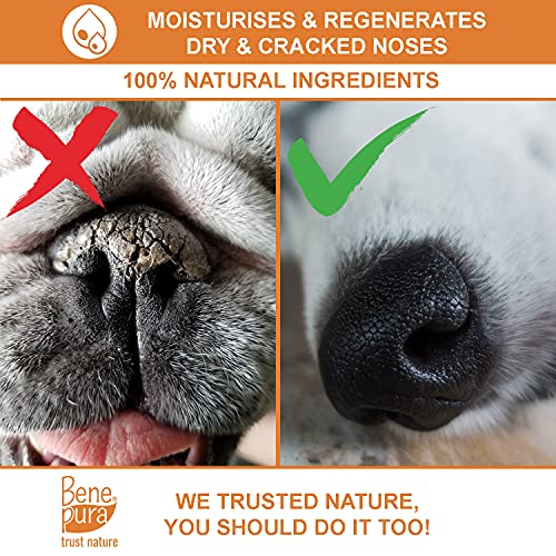 Bene Pura Trust Nature Bálsamo para Mascotas 100% Natural Regenerador - para Patas, Nariz y Piel - para Perros y Gatos 40ml