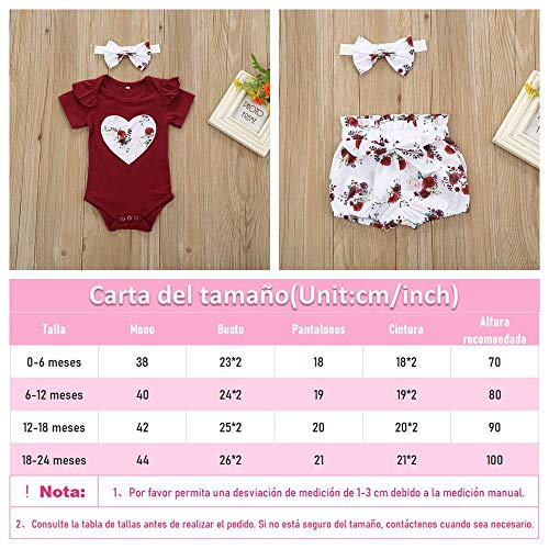 Bonfor 3 Pcs Ropa Bebe Niña 0-3 Meses Conjunto Verano Impresión de Amor Mono de Floral + Pantalón Corto + Banda de Pelo para Recien Nacido Niño 0-24 Meses Algodon Barata TMOYJPX (A, 0-6 Meses)