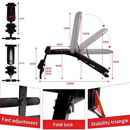 CCLIFE ZERRO Banco Ajustable Banco de musculacion Banco de Pesas Plegable Capacidad Peso 400 KG, Color:DHNTL012A0000000