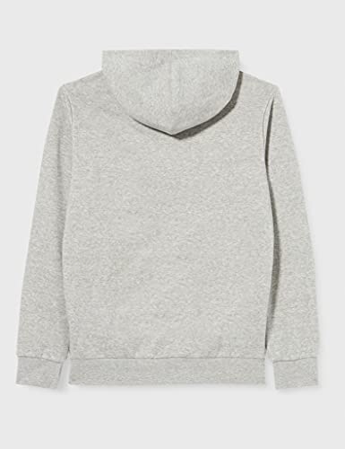 Champion Legacy Classic Logo Sudadera con Capucha, Gris Jaspeado Claro, 15-16 Años para Niños