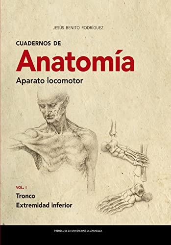 Cuadernos De Anatomía. Aparato Locomotor. Tronco. extremidad inferior: Vol. I Tronco. Extremidad inferior: 298 (Textos docentes)