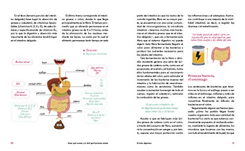 Dime qué comes y te diré qué bacterias tienes: El intestino, nuestro segundo cerebro(Alimentación saludable)