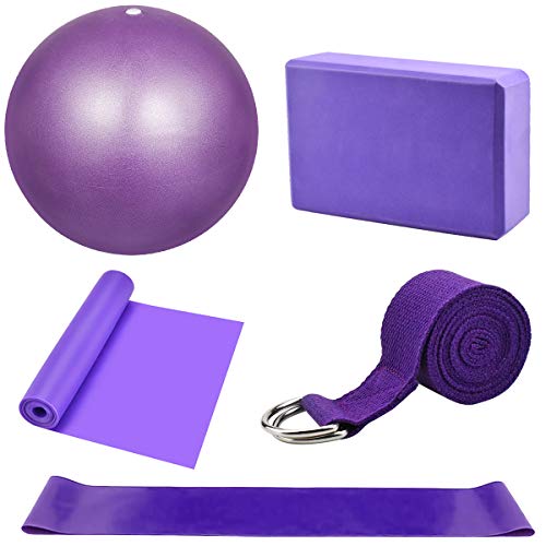 Dokpav Kit de Accesorios para Pilates Set de 5 Bandas Elásticas Fitness,Goma elasticas Musculacion,Bloque de Yoga,Pequeña Pelota de Pilates,Bandas de Resistencia para Yoga,Pilates,Fitness (Púrpura)