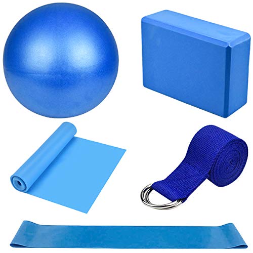 Dokpav Kit de Accesorios para Pilates Set de 5 Bandas Elásticas Fitness,Goma elasticas Musculacion,Bloque de Yoga,Pequeña Pelota de Pilates,Bandas de Resistencia para Yoga,Pilates,Fitness (Azul)