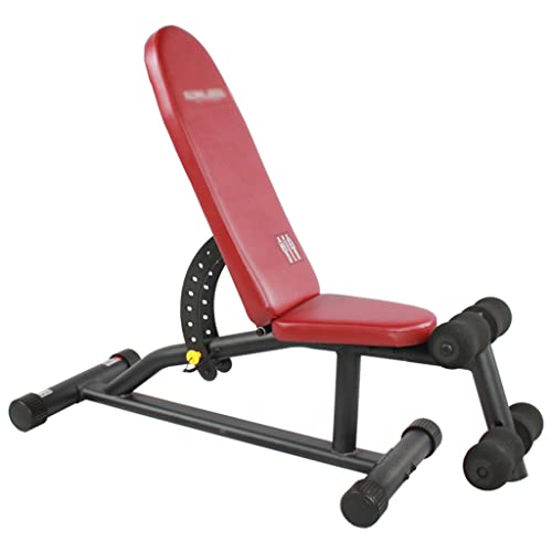 Dumbbell bench Banco con Mancuernas Silla de Ejercicio con Mancuernas Press de banca para pájaros Tabla supina Multifuncional Tabla de músculos Abdominales Equipo de Fitness para el hogar