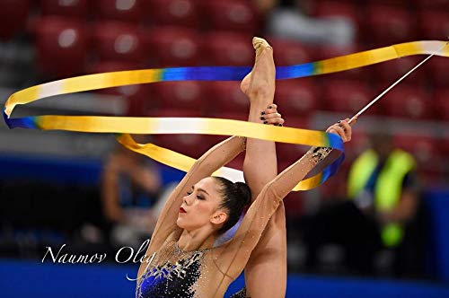 dvillena - Modelo Competicion Africa | Famosa Marca de Punteras de Gimnasia Rítmica Niña y Mujer | Las Puntas que usan grandes Gimnastas Mundiales | Bailarinas Aérobica Deporte Danza Zapatillas Ballet