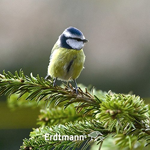 Erdtmanns Bolas de Sebo para Salvajes Libres, 35 Unidades