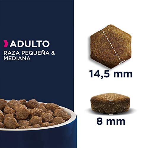 Eukanuba Alimento seco para perros adultos de razas pequeñas y medianas, rico en cordero y arroz, 12 kg