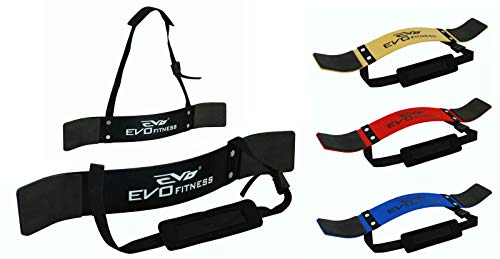 EVO Fitness Levantamiento de Pesas Arm Blaster Biceps Aislante Gym Apoyo Correas Envolvente - Negro