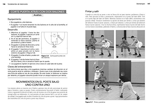 Fundamentos de baloncesto