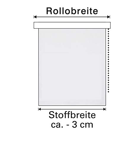 GARDINIA Estor Enrollable para Pegar o Pegar, luz Diurna, Opaco, Todas Las Piezas de Montaje Incluidas, Easyfix Rollo Uni, Color Verde Menta, 100 x 150 cm (Ancho x Alto)