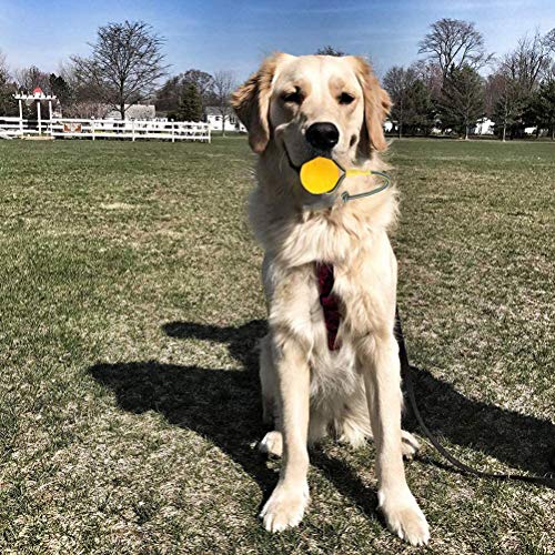 Gmuret Pelota para Perros con Cuerda, Pelota de Goma Flotante EVA para Entrenamiento de Perros, Ejercicio y Juguetes de recompensa para Buscar, atrapar, lanzar, Tirar