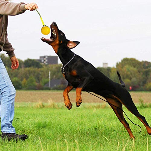 Gmuret Pelota para Perros con Cuerda, Pelota de Goma Flotante EVA para Entrenamiento de Perros, Ejercicio y Juguetes de recompensa para Buscar, atrapar, lanzar, Tirar