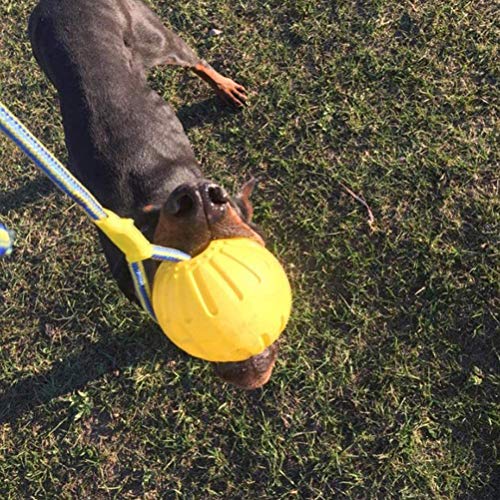 Gmuret Pelota para Perros con Cuerda, Pelota de Goma Flotante EVA para Entrenamiento de Perros, Ejercicio y Juguetes de recompensa para Buscar, atrapar, lanzar, Tirar