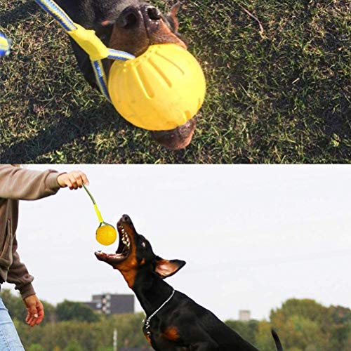 Gmuret Pelota para Perros con Cuerda, Pelota de Goma Flotante EVA para Entrenamiento de Perros, Ejercicio y Juguetes de recompensa para Buscar, atrapar, lanzar, Tirar