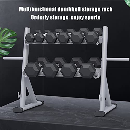 hujio Soporte Mancuernas, Soporte de Barras de Pesas Soporte para Bastidor de Almacenamiento de Gimnasia, 2 Niveles, Robusto y Duradero, MAX 300kg, Plata, Solo Rack