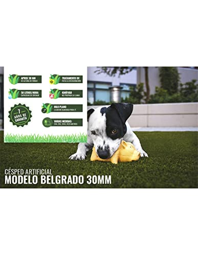 Jardin202 - Césped Artificial Belgrado 30mm - Rollo 2x1m | Ideal para terraza y jardín. Fácil Instalación | 2x1 Metros