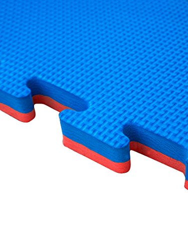 JOWY Lote 9 Unidades Esterilla Goma Espuma Tatami Puzzle | Tatami Suelo para Gimnasio Ideal Artes Marciales 1m x 1m x 2 cm Rojo/Azul