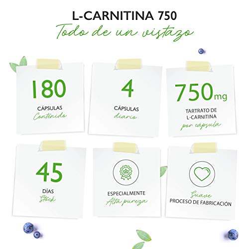 L-Carnitina - 180 cápsulas veganas - Altamente dosificado con 3000 mg por porción diaria - Premium: 100% L-Carnitina Tartrato sin aditivos - Vegano