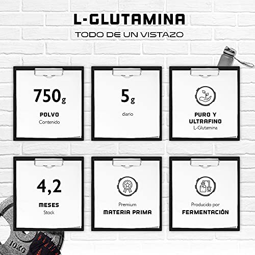 L-Glutamina en polvo - 750 g - Premium: L-Glutamina pura y ultrafina sin aditivos - Aminoácido L-Glutamina 100% micronizado - Neutro sin sabor - Altamente dosificado - Vegano