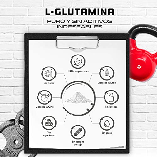 L-Glutamina en polvo - 750 g - Premium: L-Glutamina pura y ultrafina sin aditivos - Aminoácido L-Glutamina 100% micronizado - Neutro sin sabor - Altamente dosificado - Vegano