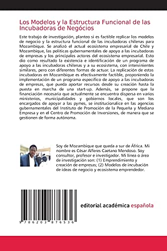 Los Modelos y la Estructura Funcional de las Incubadoras de Negócios: ¿Es Factible Replicar los Modelos de Negocios y la Estructura Funcional de Incubadoras Chilenas para Mozambique?