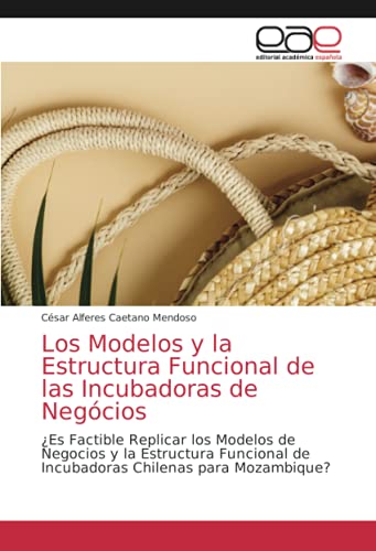 Los Modelos y la Estructura Funcional de las Incubadoras de Negócios: ¿Es Factible Replicar los Modelos de Negocios y la Estructura Funcional de Incubadoras Chilenas para Mozambique?