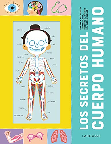 Los secretos del cuerpo humano