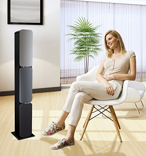 Metronic 477092 - Columna Bluetooth, altavoz de suelo, potencia: 240W, entrada jack 3,5mm, USB Play&Charge, altura: 125cm, Gris/negro, 23x25x125 cm