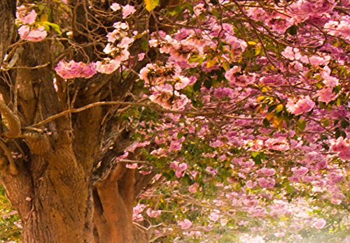 murando Cuadro en Lienzo Bosque Flores 135x45 cm 1 Parte impresión en Material Tejido no Tejido Cuadro de Pared impresión artística fotografía gráfica decoración Naturaleza Paisaje c-A-0052-b-b